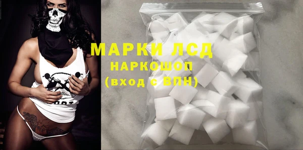 дживик Магас