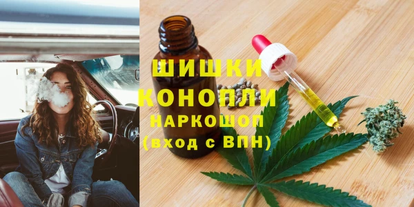 дживик Магас