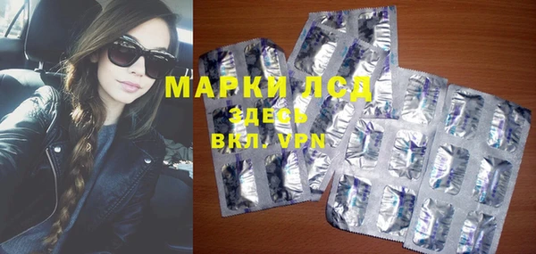 дживик Магас