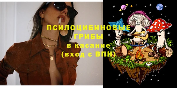 дживик Магас