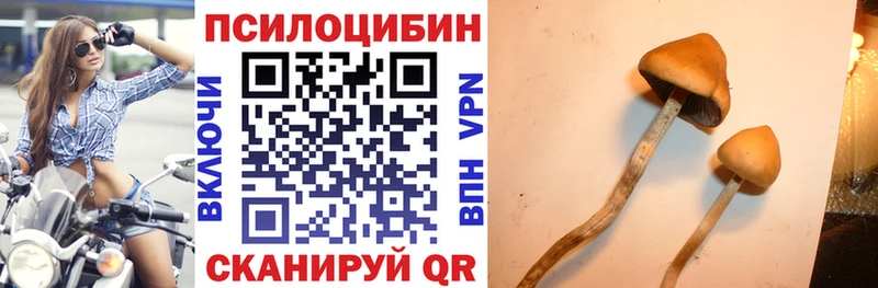где найти   kraken онион  Галлюциногенные грибы Cubensis  Ярославль 